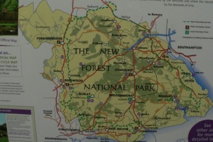 Cestujeme s pejsky po Anglii - New Forest