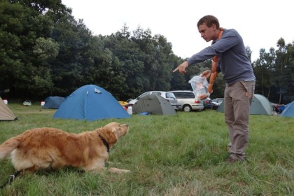 Obedience - Jak to chodí na psím táboře