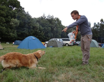 Obedience - Jak to chodí na psím táboře